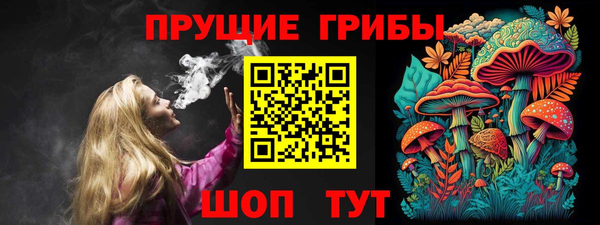 Псилоцибиновые грибы мицелий  Вход с VPN  Отрадный 
